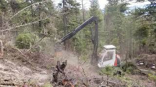 Neuson 11002 converted to tree shear [upl. by Llertnom]