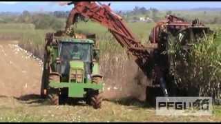 Cane Harvesting Plantation SD [upl. by Dranel712]