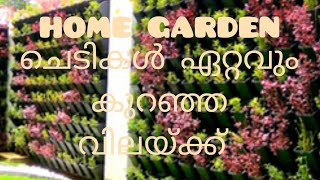 PLANTS AT WHOLESALE PRICE  MALAYALAM  HOME GARDEN [upl. by Terces138]