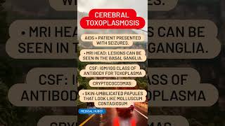 Cerebral Toxoplasmosis [upl. by Jauch]