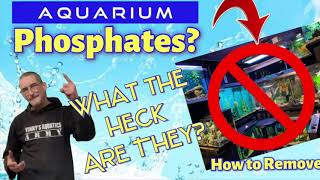 How To REMOVE AQUARIUM PHOSPHATES [upl. by Airdnal790]