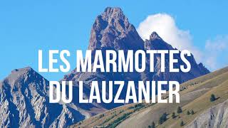 Les marmottes du Lauzanier [upl. by Damick]