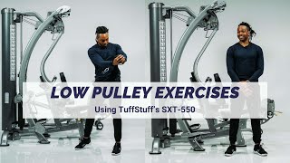 Low Pulley Exercises SXT550 Hybrid Home Gym [upl. by Earle583]