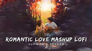 Romantic love mashup  Bollywood Songs  Lofi Boy [upl. by Ulrich]