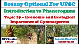 Economic and Ecological Importance of Gymnosperms Importance of Gymnosperms Ecological Value [upl. by Whang]