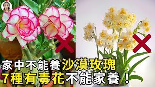 家里不能养沙漠玫瑰！这7种有毒植物都不适合家养，赶紧看你家里有没有  花花世界 [upl. by Singband]