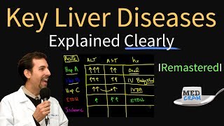 Diagnosis of Key Liver Diseases  Hepatitis A B C vs Alcoholic vs Ischemic AST vs ALT Labs [upl. by Nylssej]