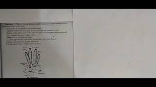 LEUCOSOLENIA PORIFERA ZOOLOGY PRACTICAL COMPLETE EXPLANATION IN BOTH ENGLISH AND HINDI [upl. by Atiekahs]