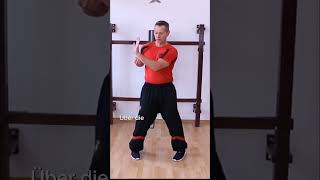 🏅Sifu Sergej zeigt die Meisterschaft im Siu Nim Tao 5 Satz Expertentechniken für Wing Chun Praxis [upl. by Gabbi732]