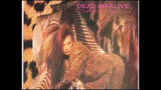 dead or alive sophisticated boom boom original 1984 album [upl. by Llerdnam]