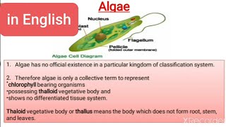 Algae  General Characteristics Thallus structure reproduction classification and economic imp [upl. by Tezil]