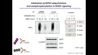 Proteomics Profiling of PostTranslational Modifications in Early Drug Discovery [upl. by Anuahsat]