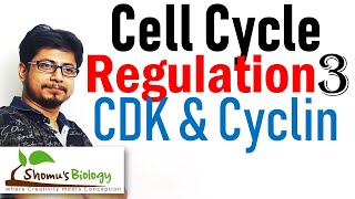 Cyclin and cyclin dependent kinases cdk  Cell cycle regulation lecture 3 [upl. by Ivette256]