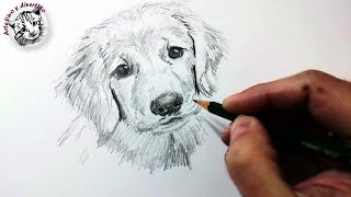 Técnicas y Tips de Dibujo con Lápiz de Grafito y Cómo Dibujar un Perro a Lápiz [upl. by Acassej439]