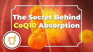 CoQ10  The Secret Behind CoQ10 Absorption [upl. by Hepsiba365]