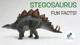 STEGOSAURUS FACTS  Fun amp Educational  Dinosaurs For Kids  Best Dinosaur Facts [upl. by Etteragram]