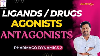 Pharmacodynamics Agonists Antagonists Partial Agonists Inverse Agonists Pharmacology Malayalam [upl. by Jezabelle263]