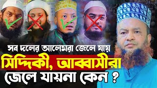 সিদ্দিকী আব্বাসীরা কি আওয়ামীলীগের দালাল ছিলো ⁉️ আবুল কালাম আজাদ বাশার  abul kalam azad bashar [upl. by Ettigdirb]