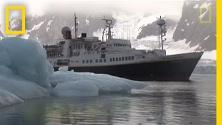 Killer Whales vs Minke Whale  National Geographic [upl. by Levine265]