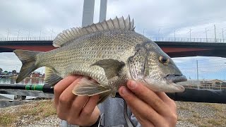 Fishing with the Bendiest Antique Rod [upl. by Slavic]