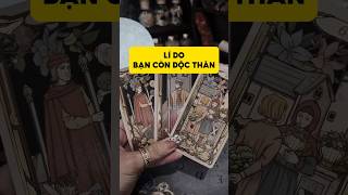 Lí do bạn còn độc thân tarot duongtarot tarotreels tarotvietnam tarotonline tinhyeu [upl. by Kulsrud]