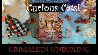 Grimalkin Tarot Unboxing [upl. by Forster]