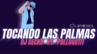 TOCANDO LAS PALMAS  DjGecko  Pollogotit  ZUMBA  Cumbia  By ZIN JOEL [upl. by Alla]