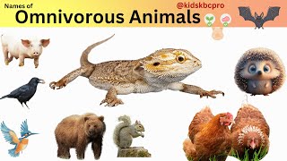 Omnivore Animals name for Kids सर्वहारा जानवरों के नामkidsKBCpro omnivores animals learning [upl. by Cacia]