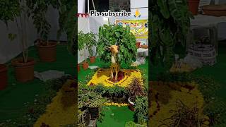 Flower show ⭐⭐ at vjynaturalflowers naturelovers ytshorts [upl. by Angele]