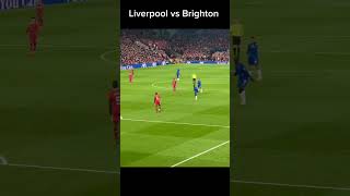 Liverpool vs Brighton Highlights [upl. by Saqaw774]