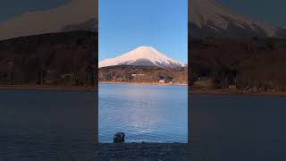 富士山  山中湖  湖中倒影  很冷 [upl. by Vatsug709]