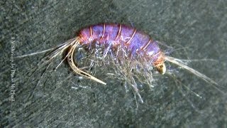 Tying a UV Shrimp Fly Gammarus by Davie McPhail [upl. by Rosalie]