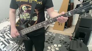 Hawthorne heights  Nikki fm bass cover [upl. by Imekawulo35]