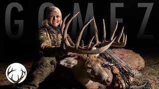 The Hunt For Gomez Tiffany Lakoskys Biggest Whitetail  Lee and Tiffany Lakosky [upl. by Yetac]