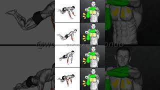 Build Huge Forearms Essential Exercises for Maximum Gains [upl. by Bresee]