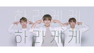 더샘X세븐틴 the SAEM Harakeke Dance [upl. by Lida]