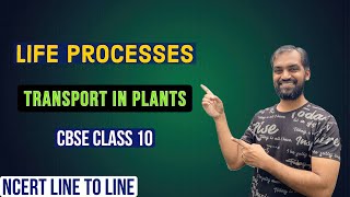 CBSE Class 10  Life processes  Transport in Plants  NCERT line to line [upl. by Anneg]