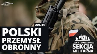 Modernizacja Wojska Polskiego decyzje zakupowe  Sekcja Militarna odc 14 [upl. by Aisul]