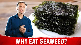 What is Seaweed – DrBerg Explains Roasted Seaweed Benefits [upl. by Ardnohs]