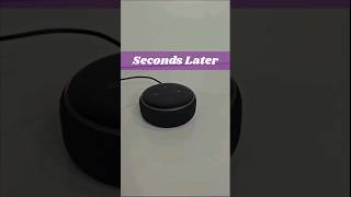 Echo Dot 3rd Gen Hard Reset in 53 Secs [upl. by Nedaj]