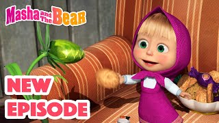 Masha and the Bear 🐼 BON APPÉTIT 🥟 30 min ⏰ Сartoon collection 🎬 [upl. by Kcirdnekal]