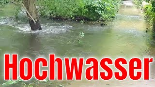 Hochwasser im Wald [upl. by Jenine]