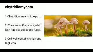 Chytridiomycotachytridiomycota fungi [upl. by Oiliruam]