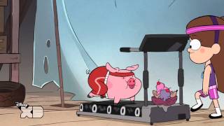 Gravity Falls  Waddles the Jog Hog  Official Disney XD UK HD [upl. by Lais]