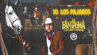 El Fantasma  Los Pájaros Audio Oficial [upl. by Orfurd635]