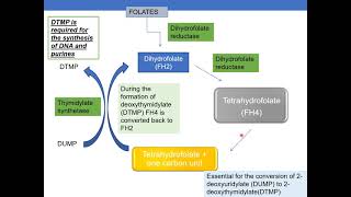 ANTICANCER DRUGS PART 3 ANTIMETABOLITES [upl. by Beeson]