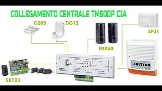 CENTRALE ALLARME CIA HILTRON TM500P COLLEGAMENTI E BASI DI FUNZIONAMENTO [upl. by Nageam]