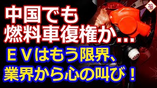 EVの限界に気づいた中国の業界団体から心の叫び「燃料車も売らないと」 [upl. by Zandra]