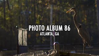 Photo Album 86 Ducks Deer Geese amp Blue Herons  Olympus EPL3 Micro Four Thirds [upl. by Aseek704]