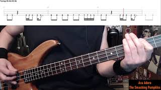 Ava Adore by Smashing Pumpkins  Bass Cover with Tabs PlayAlong [upl. by Hannahc432]